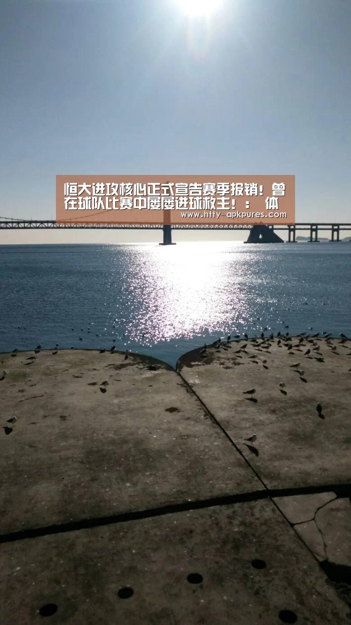  观赛体验