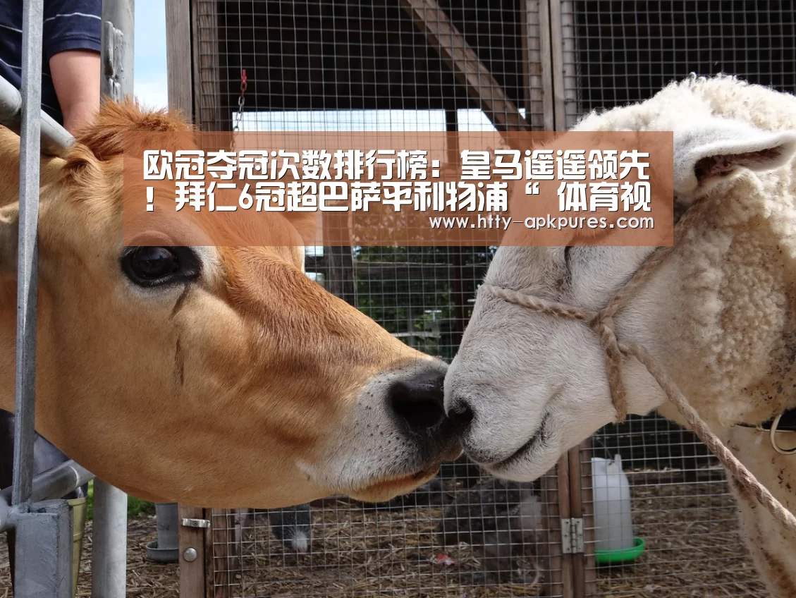  体育赛事